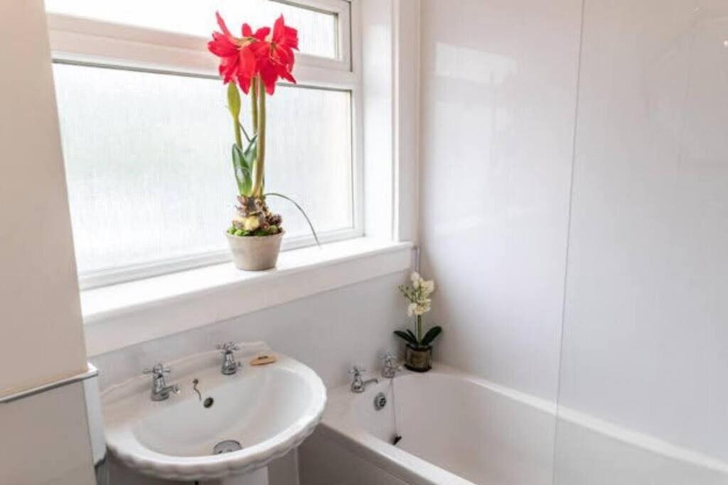 Cosy 1 Bed With Parking In City Centre Lejlighed Glasgow Eksteriør billede